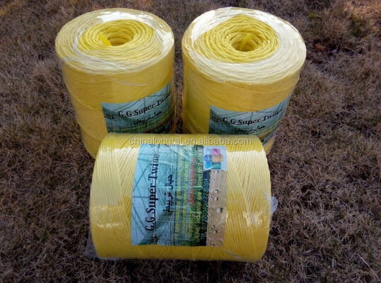 Hot Sell Agriculture Packing Baler Twine  PP Twine