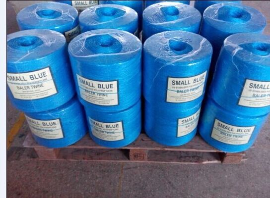 Wholesale Baler Twine Tomato Banana Grape Vine Twine  Greenhouse PP Multi-span Agricultural Twines