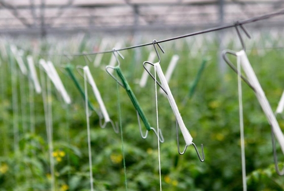 Uv Treated Greenhouse Use Tomato Tying Twine