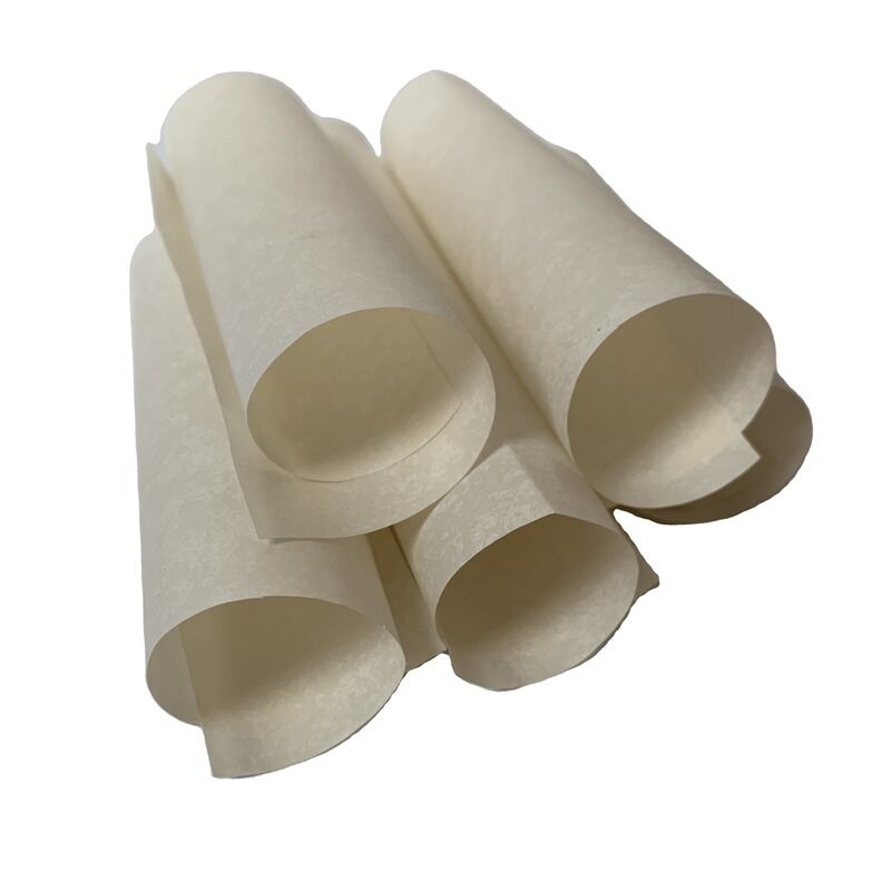 Insulation resistance 1.12 times 10 to the power of 14 ohms motor insulation paper engineered to resist heat up to 300 degrees Celsius