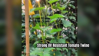 UV-beständiges Tomatenbindegarn für starken Halt der Pflanze