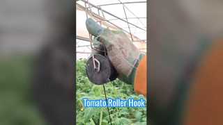 Tomatenrollerhaken